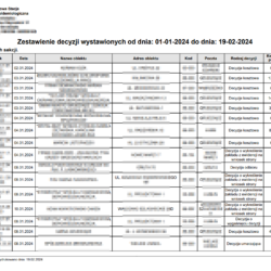 Podgląd zestawienia decyzji w określonym czasie Podgląd zestawienia decyzji w określonym czasie