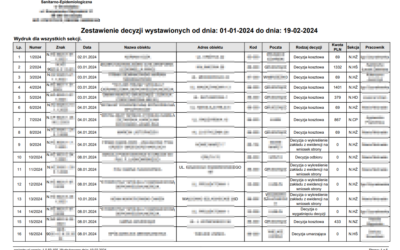 Podgląd zestawienia decyzji w określonym czasie Podgląd zestawienia decyzji w określonym czasie